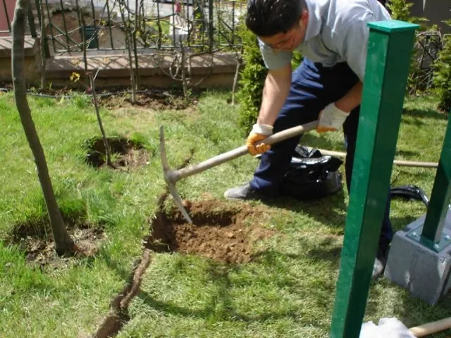 Installation of fences - Jurval ograde 